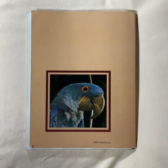 The Parrotlet Handbook, Looking After Caged Birds & Budgies as a new pet - Picture 5 of 12